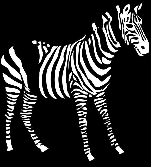 Riddles om en zebra för dina barn