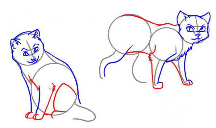 En detaljerad lektion: hur man ritar katter-krigare