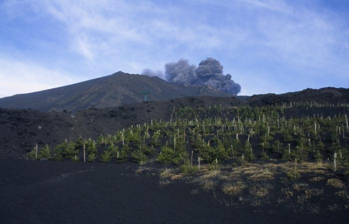 Vulkanutbrott: orsaker och konsekvenser
