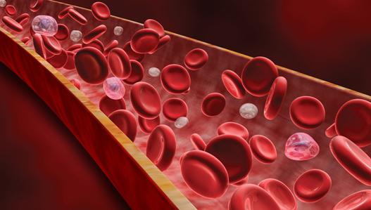 att sänka leukocyter i blodet folkmekanismer